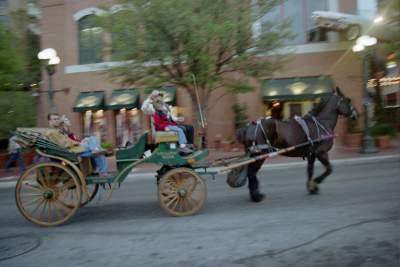 Texas S.a  horse carriage.JPG